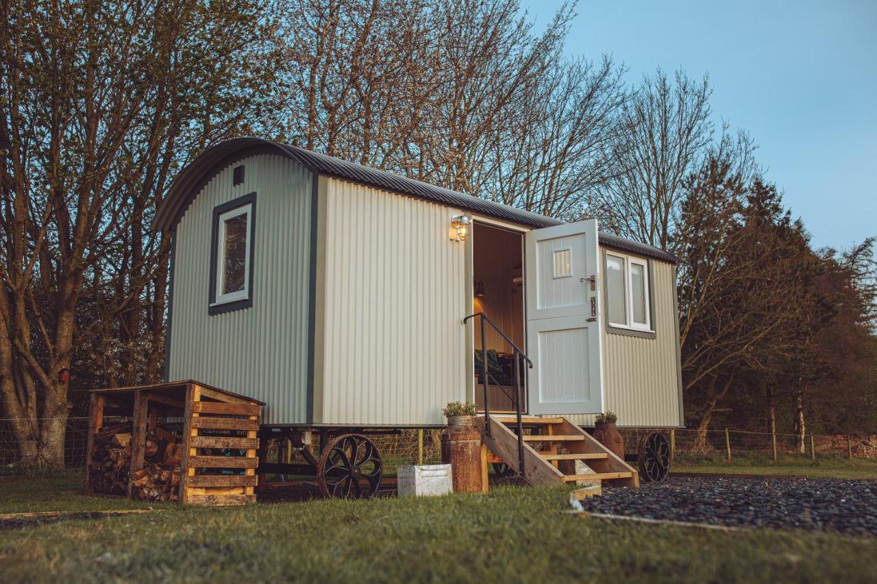 Shabby Shepherds เพนริท ภายนอก รูปภาพ
